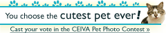 Cast your vote in the CEIVA Pet Photo Contest!