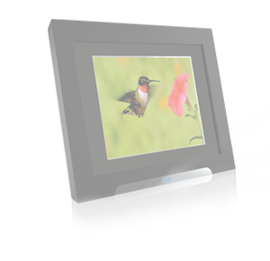 CEIVAshare Frame