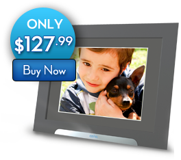 Sale!  Only $99.95