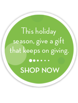 Shop our holiday promotions