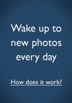 Surprise Dad at work with new photos every day