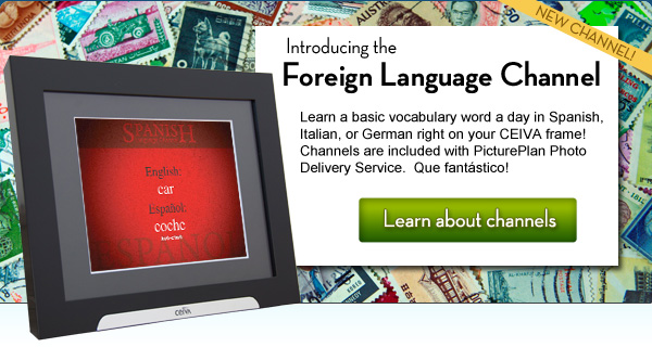 Introducing the Foreign Language Channel